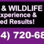 Titan Pest and Wildlife Solutions