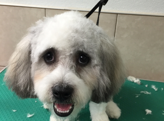 At Your bark N' Call Dog Grooming - Trenton, NJ