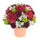 Heart To Heart Flowers And Gifts - Florists