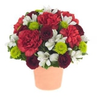 Westdale Florists