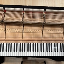 Paradise Piano