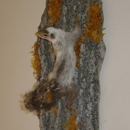 Starvation Acres Taxidermy, Produce, and Poultry - Taxidermists