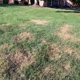 Royse Lawn Care