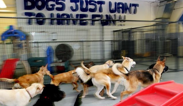 Lucky Dog Boarding, Daycare & Training - Colorado Springs, CO