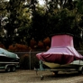Photo #01