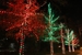Spark Lighting - LED Lighting Installation - Landscape Designers & Consultants