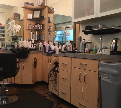 Swayy Salon - Portland, OR