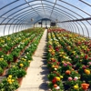 Valley View Wholesale Greenhouses gallery