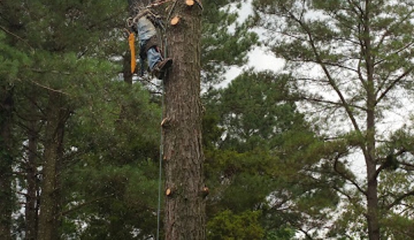 Arbor Quality Tree - Disputanta, VA