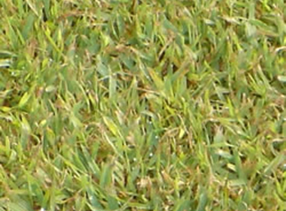 Bundaberg Turf Supplies - Meadowvale, QLD