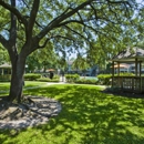 Brookfield Apartments - Apartments