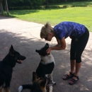 A1 DogTraining Academy, LLC - Dog Training