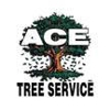 Ace Tree Service gallery