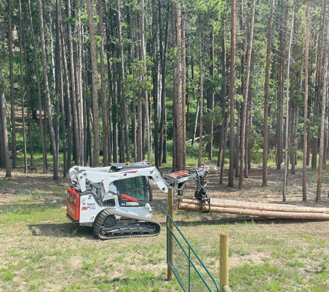 Splintered Forest Tree Services - Boulder, CO