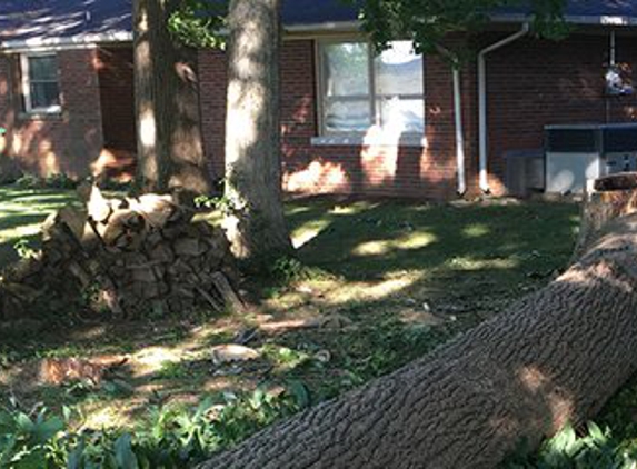 Ray's Tree Service - Campbellsville, KY