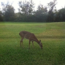 Laurel Oak Country Club - Golf Courses