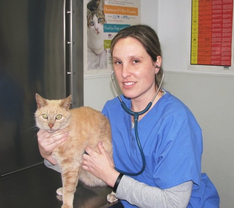 Southgate Animal Hospital - Copiague, NY