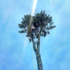 Critical Tree Service, Inc.