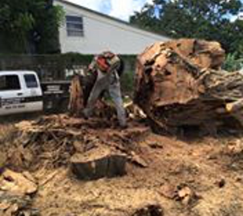 Royal Tree Service & Landscaping LLC - Fort Lauderdale, FL. Massive tree removed