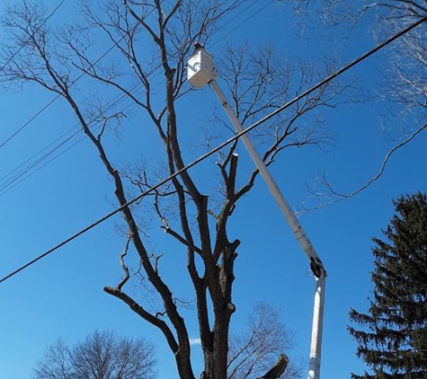 Epic Tree Service - Galva, IL