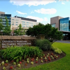 Orthopedics at UM BWMC