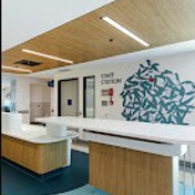 Gallery Image Number 3