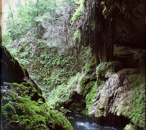 Westcave Outdoor Discover Center - Round Mountain, TX