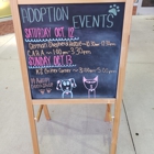 AniMall Pet Adoption and Outreach Center