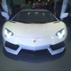 Lamborghini gallery