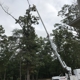 Case Tree Service