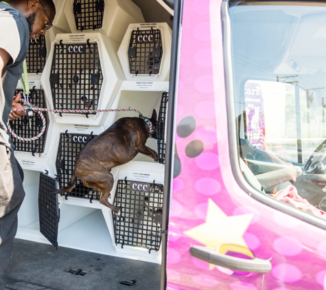 Pupstars Pet Care - Chicago, IL. Safe & Reliable Transportation Services