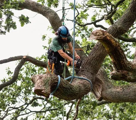 BioScapes Treecare Inc. - Union City, CA