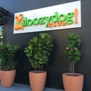 Doozydog! Club - Pet Boarding & Kennels