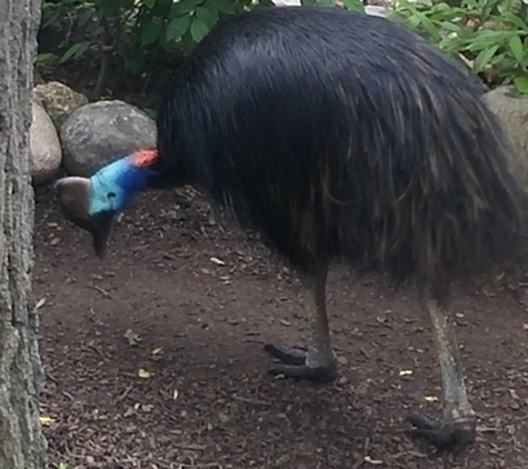 Toledo Zoo & Aquarium - Toledo, OH