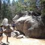 Idyllwild Nature Center