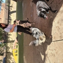 Pet Play House Phoenix - Hostels