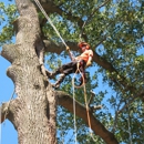 Keith's Tree Service and Firewood-Sherman TX - Tree Service