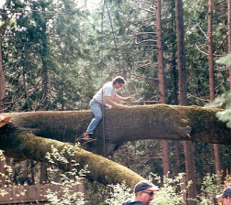 High Sierra Tree Service - Grass Valley, CA