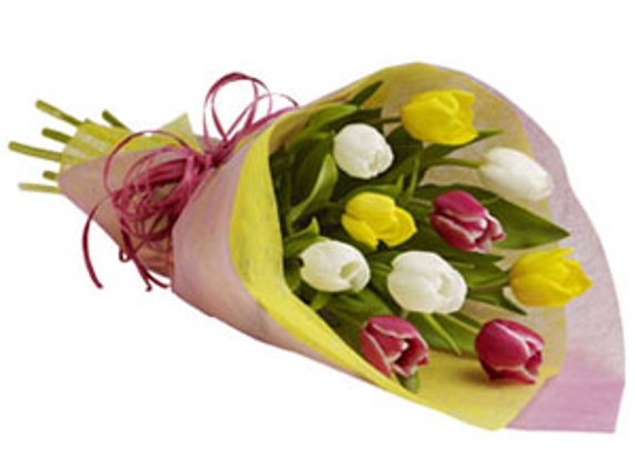 Bay Junction Florist - Glenelg, SA