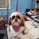 Pawsitive Touch Grooming - Pet Grooming