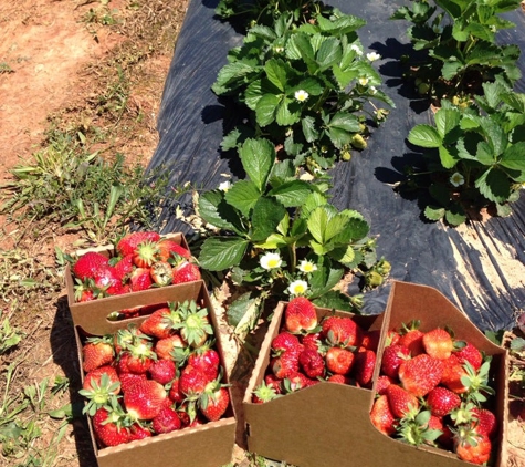 Hall Family Farm - Charlotte, NC