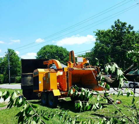 A1 Tree Tech - Murfreesboro, TN