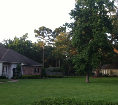 DJs Lawn Care and Landscaping - Slidell, LA