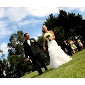 Gallery Image Number 8