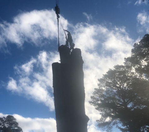Snowy Mountains Tree Service Pty Limited - Cooma, NSW