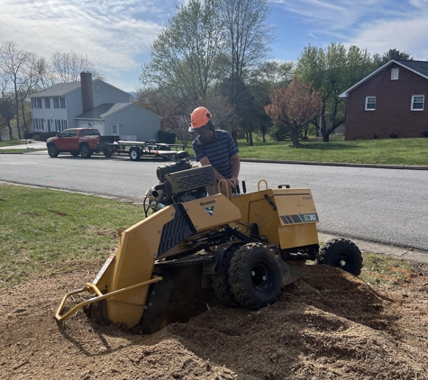 Town & Country Stump Removal - Daleville, VA