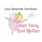 Hair Fairy Godmother Lice Removal