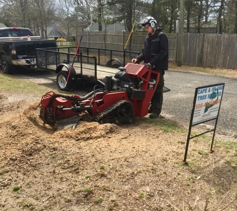 Cape & Island Tree Service Inc