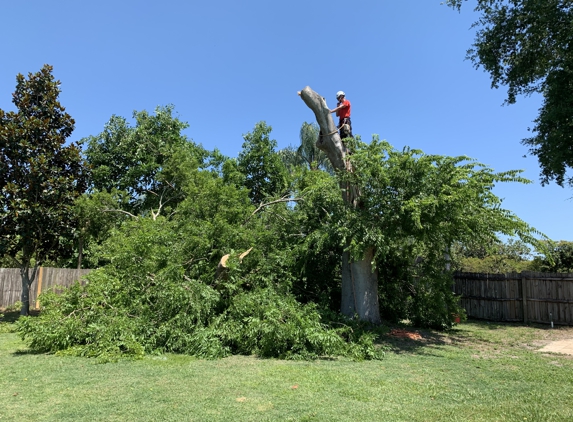 Kevin's Tree Service - Oviedo, FL