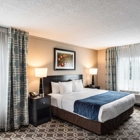 Comfort Inn Rehoboth Beach